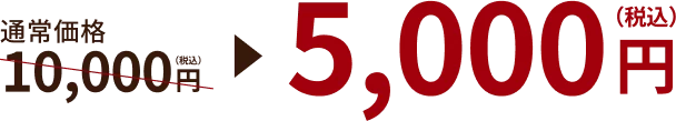通常価格10,000円(税込)→5,000円(税込)